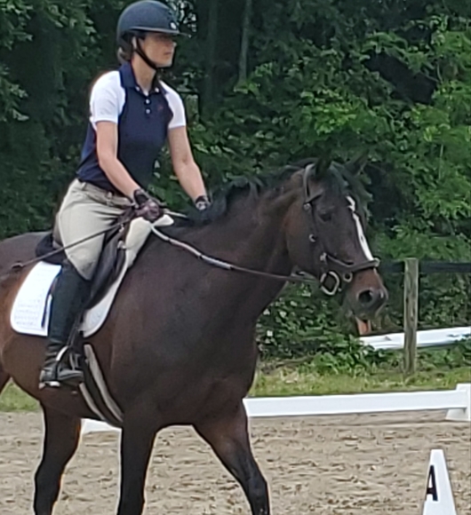 Meet your Posher, Ramona - Picture 6 of 6